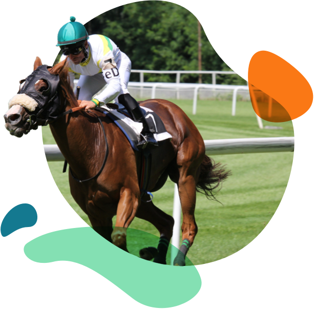 Logiciel turf pour pronostic PMU
